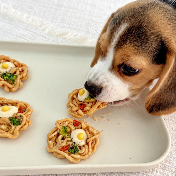 Chicken Ramen Natural Dog Treats