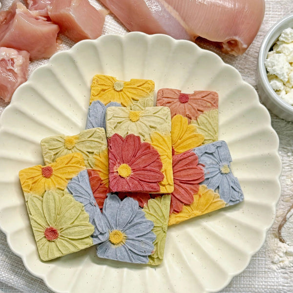 Sunflower Square Cookies Dog Treats with Goat Cheese & Chicken
