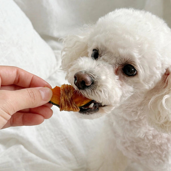 Chicken-Wrapped Pumpkin Bites