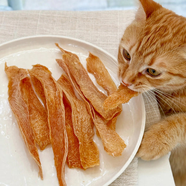 Classic Crispy 100% Chicken Breast Slices