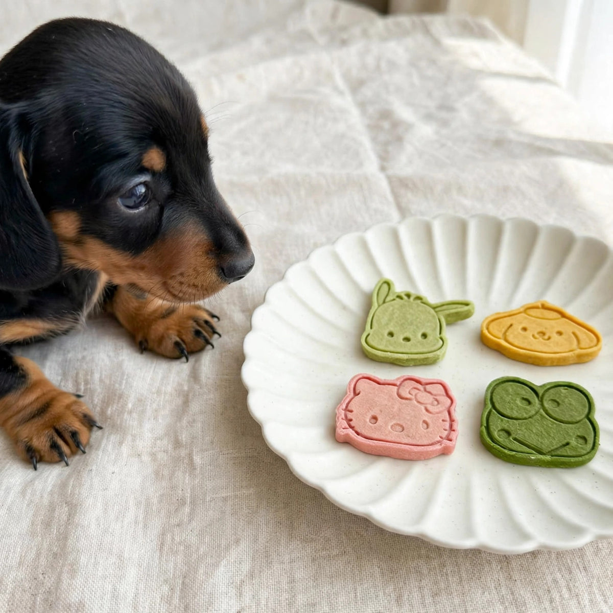 Kitty & Friends-Shaped Chicken Cookies - 8ct