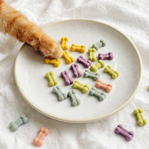 Mini Bone-Shaped Chicken Cookies