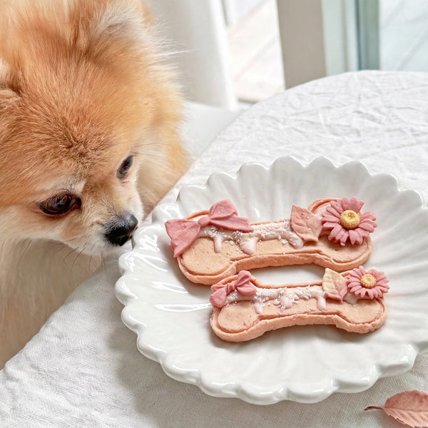 Spring Blossom Bone-Shaped Chicken Cookies