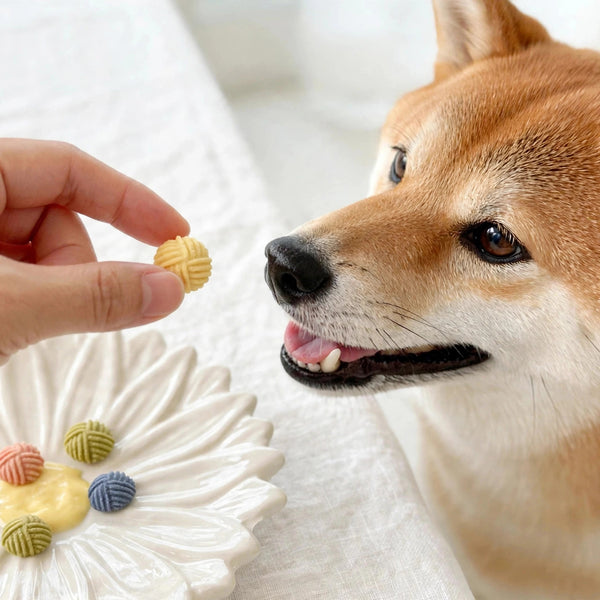 Mini Yarn Ball-Shaped Chicken Cookies