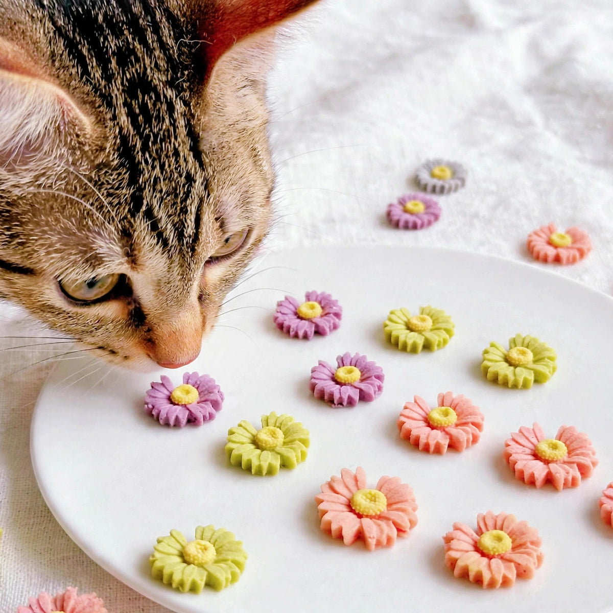 Daisy-Shaped Chicken Cookies