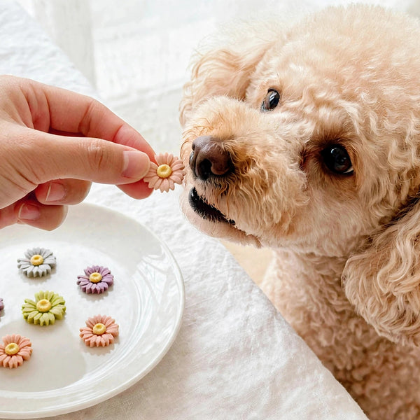 Daisy-Shaped Chicken Cookies