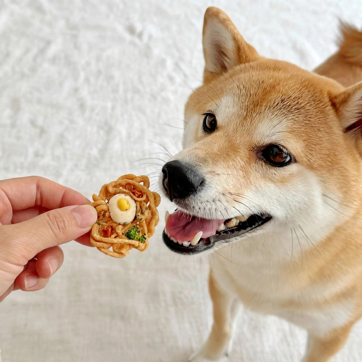 Chicken Ramen Natural Dog Treats